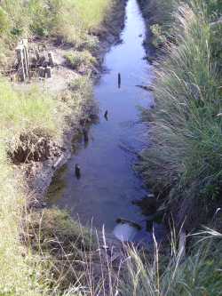 Au bout de l'étier, la trappe de la Saline de Lacüestan