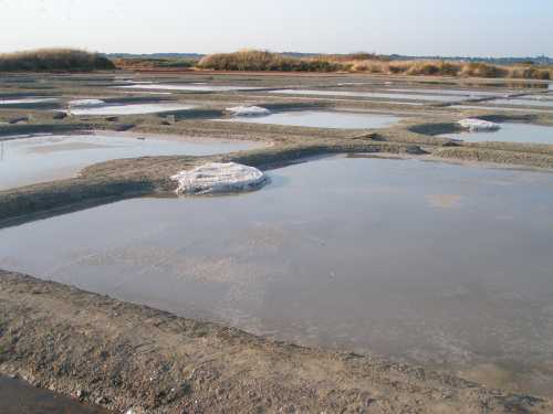 le cristallisoir : enfin le sel