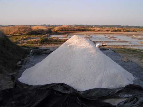 mulon de gros sel marais de Gu rande En dehors du travail des paludiers 