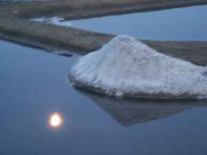 ladure sous la lune (photo Yves Richeux, mon cousin)