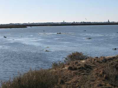 vasières des baules après tempête