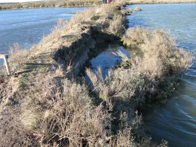 talus dans saline